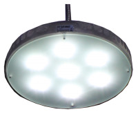 dm-p25-6-400x337